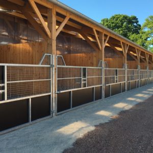 Stabulation cheval